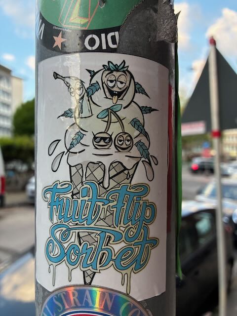 Der Sticker zeigt eine farbige Illustration mit einem Eisbecher, bestehend aus mehreren Kugeln, die Gesichter und Arme haben. Jede Eiskugel trägt Sonnenbrillen oder Accessoires. Auf der linken Seite sitzt ein Vogel auf der obersten Kugel. Darunter steht in großen, verschnörkelten Buchstaben der Text „Fruit Flip Sorbet“. Der Hintergrund des Stickers ist weiß, das Motiv ist in Blau- und Grüntönen gehalten.