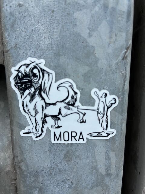 Weißer Aufkleber auf grauer Betonsäule zeigt einen gezeichneten Hund mit lockigem Fell, der an einer Leine steht. Unter dem Hund steht der Text "MORA" in schwarzen Großbuchstaben.