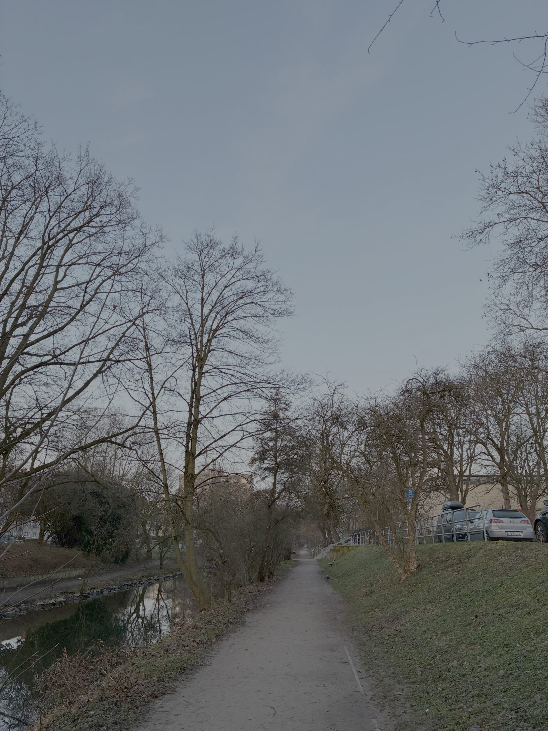 Südliche Düssel am Morgen