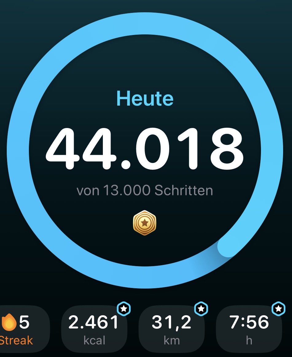 Screenshot Schrittzähler-App: 44.018 Schritte, 2.461 kcal, 31,2 km, 7:56 h