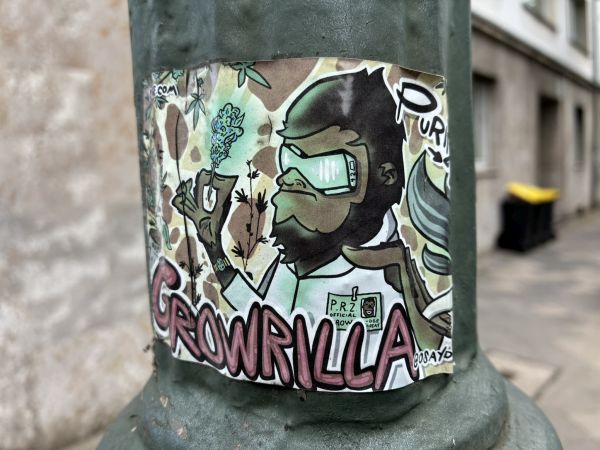 Rechteckiger Sticker auf einem dunkelgrünen Pfosten. Zu sehen ist eine gezeichnete Gorilla-Figur im Profil mit großer türkisfarbener Schutzbrille, weißem Oberteil und einem Zweig mit kleinen blauen Blüten in der Hand. Im unteren Bereich steht in großen rosa Buchstaben „GROWRILLA“. Der Hintergrund des Stickers zeigt Blätter, Zweige und Flecken in Grün- und Brauntönen. Rechts und links ist unscharf die Straße im Hintergrund zu sehen.
