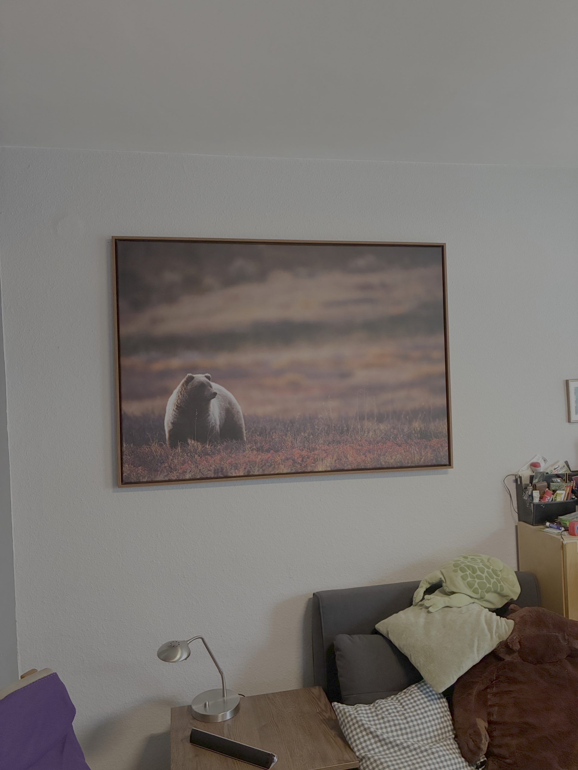 Mein neuer Mitbewohner